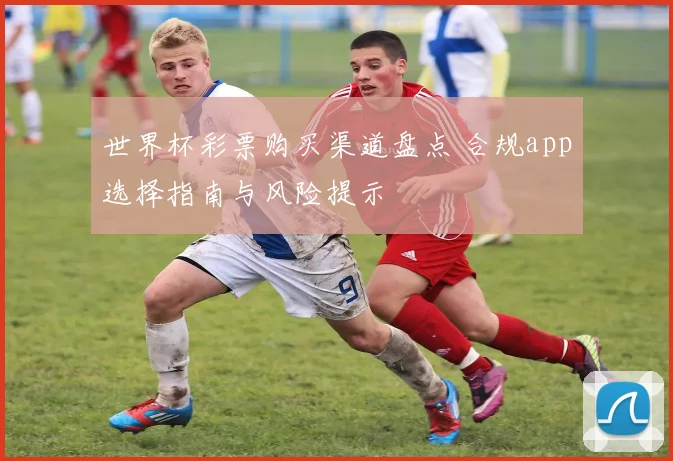 世界杯彩票购买渠道盘点 合规app选择指南与风险提示