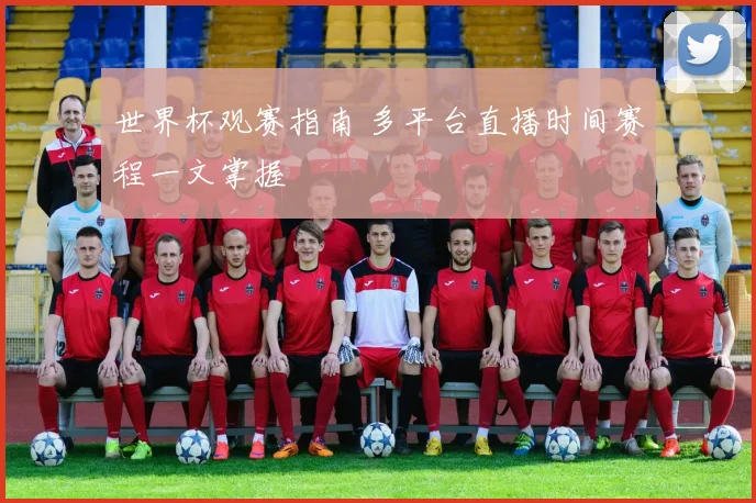 世界杯观赛指南 多平台直播时间赛程一文掌握