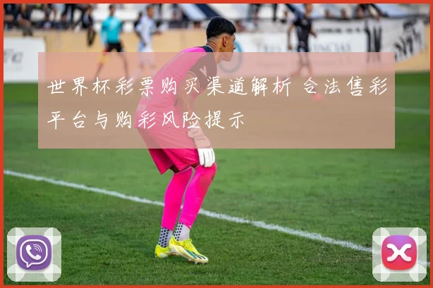 世界杯彩票购买渠道解析 合法售彩平台与购彩风险提示