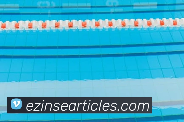 开云app在线下载入口服务体系